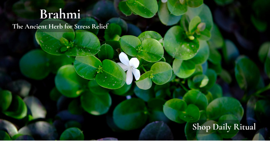 Brahmi: The Ancient Ayurvedic Herb That Calms Your Mind & Soothes Your Stress