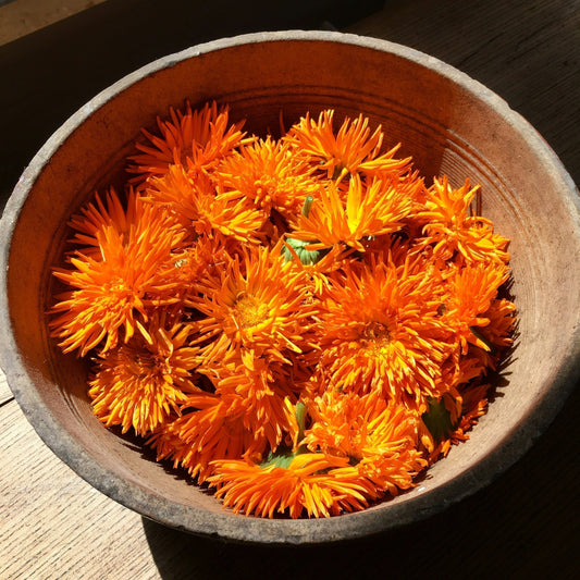 Calendula: The Golden Ayurvedic Flower That Heals Your Skin, Soothes Inflammation & Illuminates Your Inner Radiance